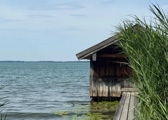 Fringaluna * Übersee